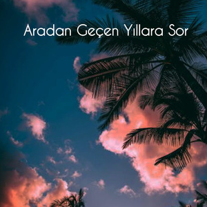 Aradan Geçen Yıllara Sor