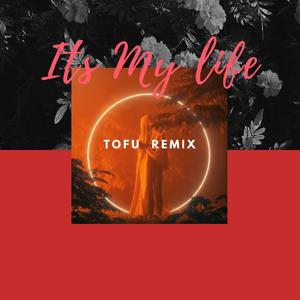 Bon Jovi-It's My Life 2020（TOFU豆腐 remix）