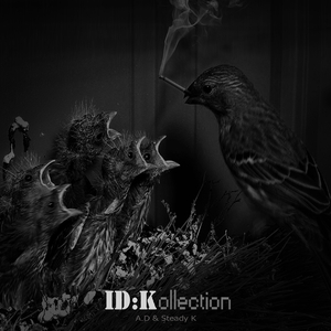 I Don't Care (Feat. HummingBird)