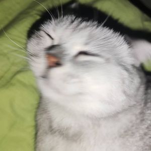 Fair Trade（fromytocrazy remix）