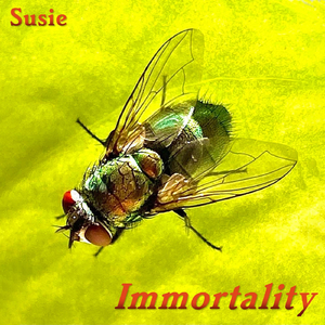 David Foster Wallace