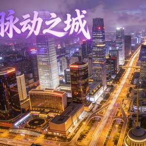 脉动之城