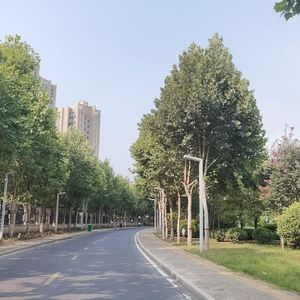 清晨微光-整曲