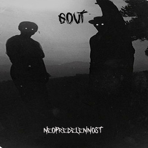 Neopredelennost