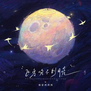 飞鸟吻不到月亮 (DJ版)降调版