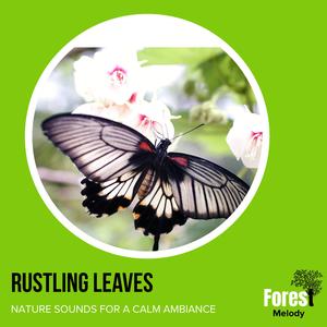 Exploring Birdsong Across the World with Northern Flicker