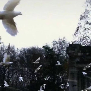 终于失去你 任夏