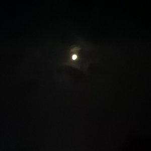 转码_转码_音频提取_SVID_20231109_221529_1.