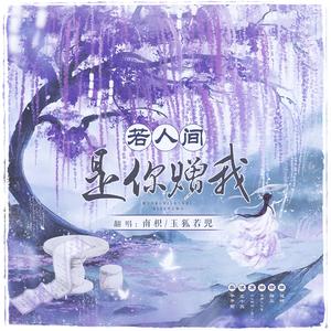 若人间是你赠我