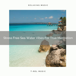 Stress Free Sea Water Vibes For Extreme Meditation