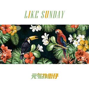 Like Sunday