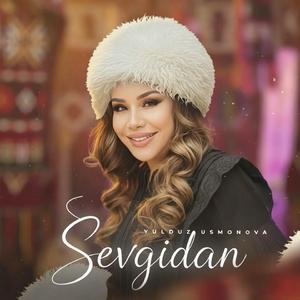 Sevgidan (Remix)