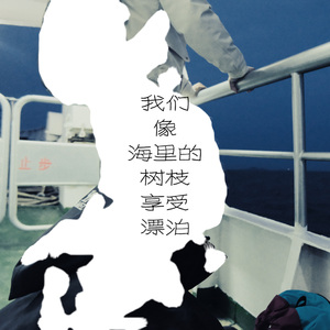 我们像海里的树枝享受漂泊