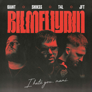 Bilmeliydin (i hate you, mami)