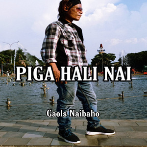 PIGA HALI NAI