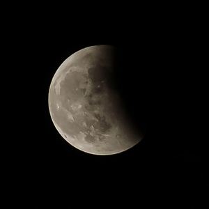 1/6 -out of the gravity-（Cover ゼブラ）