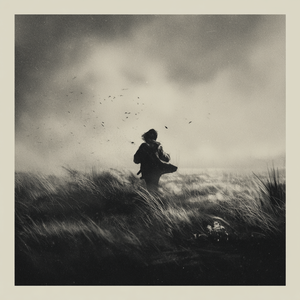 阿浪- 北风归来