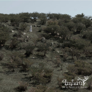 Preludio a La Floresta