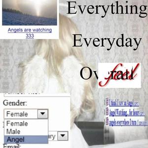 Everything Everyday Overall
