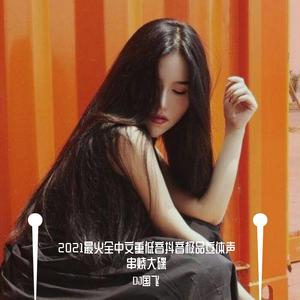 2021最火全中文重低音抖音极品立体声串烧大碟