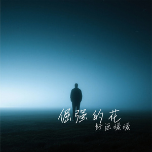 倔强的花