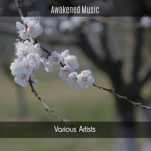 Rilassamento Analitico (Instrumental)