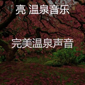 抚慰的按摩回忆