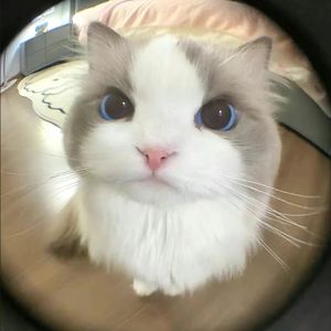 ^.^(Prod.@rodmadeit_)