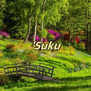 'Suku
