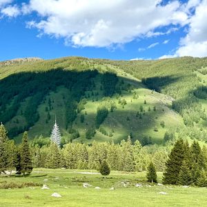 轻盈舞步的欢乐派对