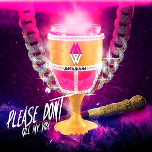 Please Don't Kill My Vibe