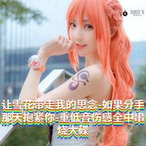 DJ国飞-让雪花带走我的思念-如果分手那天抱紧你-重低音伤感全中文串烧大碟（DJ国飞 remix）