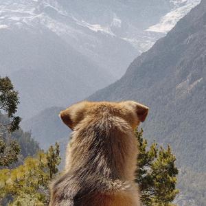 I am the Seeker, I am the Treasure