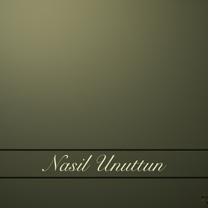 Nasil Unuttun