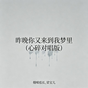 昨晚你又来到我梦里(心碎对唱版)