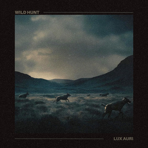 Wild Hunt