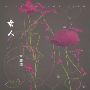 女人 (DJ光年版)