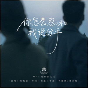 你怎么忍心和我说分手 (DJ默涵版)