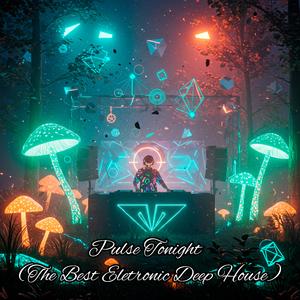 Void Pulse (The Best Eletronic Deep House)