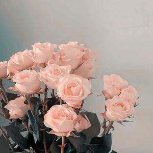 生死相随