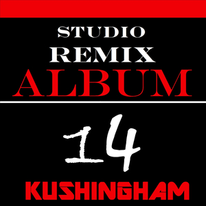 BIH (Originally Performed by Chief Keef) [Kushingham Karaoke Instrumental Version]