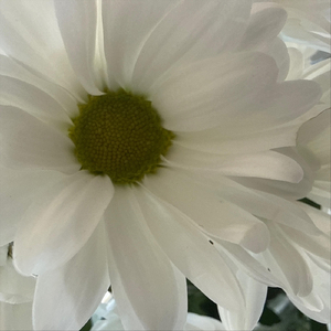 Зустрінемось