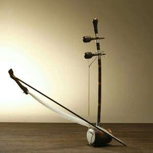 光明行「二胡独奏」