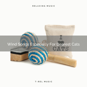 Complex Woods Tunes Especially For Dearest Cats