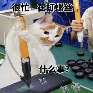 我想去打螺丝