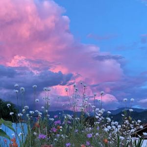 皎月夜的空灵之境