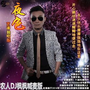 夜色 (DJ枫枫版|农人DJ枫枫版)