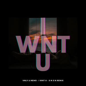 I WNT U (s m s n Remix)