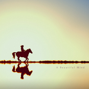 A Beautiful Mind