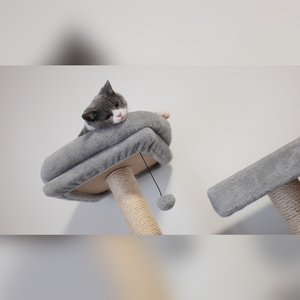 夏夜晚风 (Cover 伍佰)